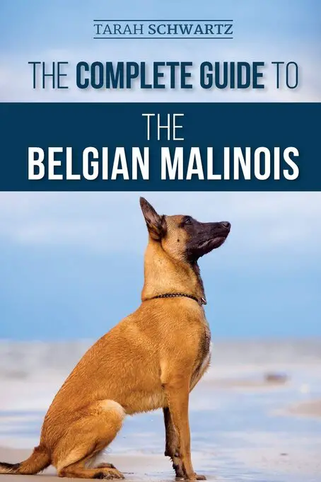 belgian malinois training book