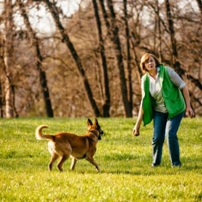 How to Deal with Belgian Malinois barking