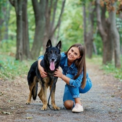 German Shepherd Common Health Problems