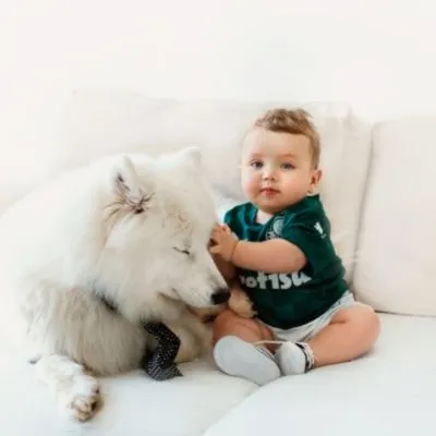 How to teach your Dog to be Calm around your Baby
