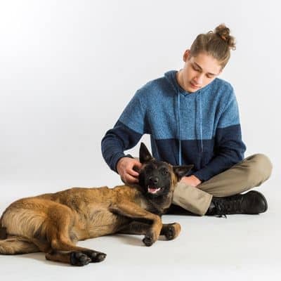 belgian malinois puppy training