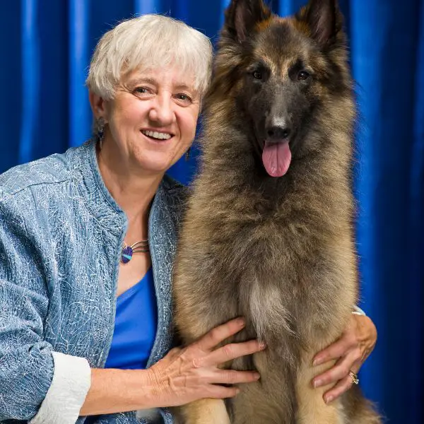 Are Belgian Tervuren Good Family Dogs